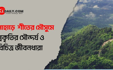পাহাড়ে শীতের মৌসুমে ‍প্রকৃতির সৌন্দর্য ও বিচিত্র জীবনধারা