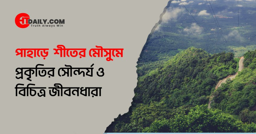 পাহাড়ে শীতের মৌসুমে ‍প্রকৃতির সৌন্দর্য ও বিচিত্র জীবনধারা
