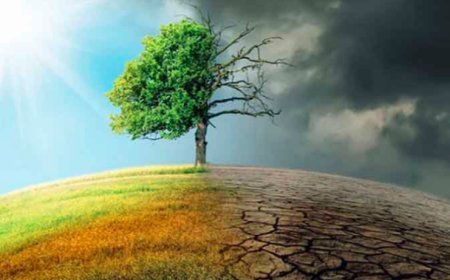 জলবায়ু পরির্তনের প্রভাব এবং করণীয়