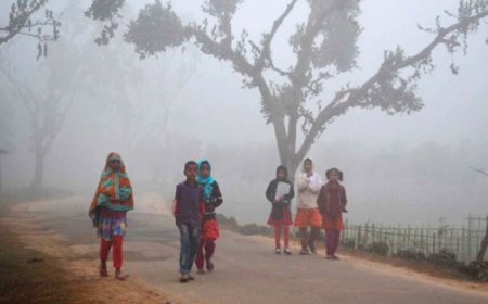 কেমন হবে এবারের শীতকাল জানাচ্ছেন আবহাওয়াবিদরা