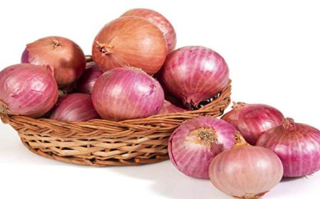 ভারতের  রপ্তানি নিষেধাজ্ঞায়  পেঁয়াজের দাম কেজিতে ২০০ টাকা ছাড়াল