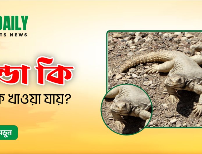 সান্ডা কি? এটি কি খাওয়া যায়?